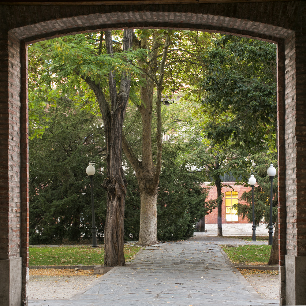 plaza del viejo coso