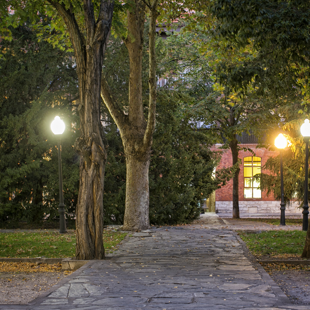 plaza del viejo coso